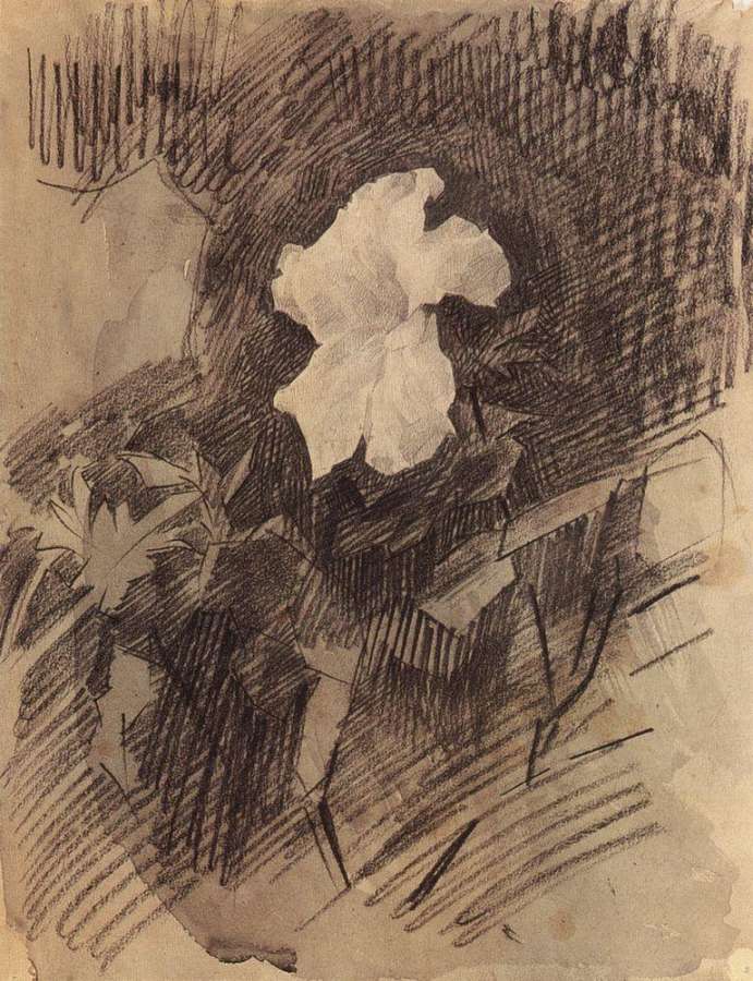 Белая азалия с листьями1. 1886-1887 - Врубель Михаил 