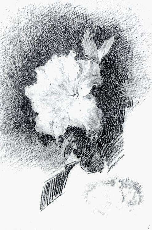 Белая азалия с листьями2. 1886-1887 - Врубель Михаил 