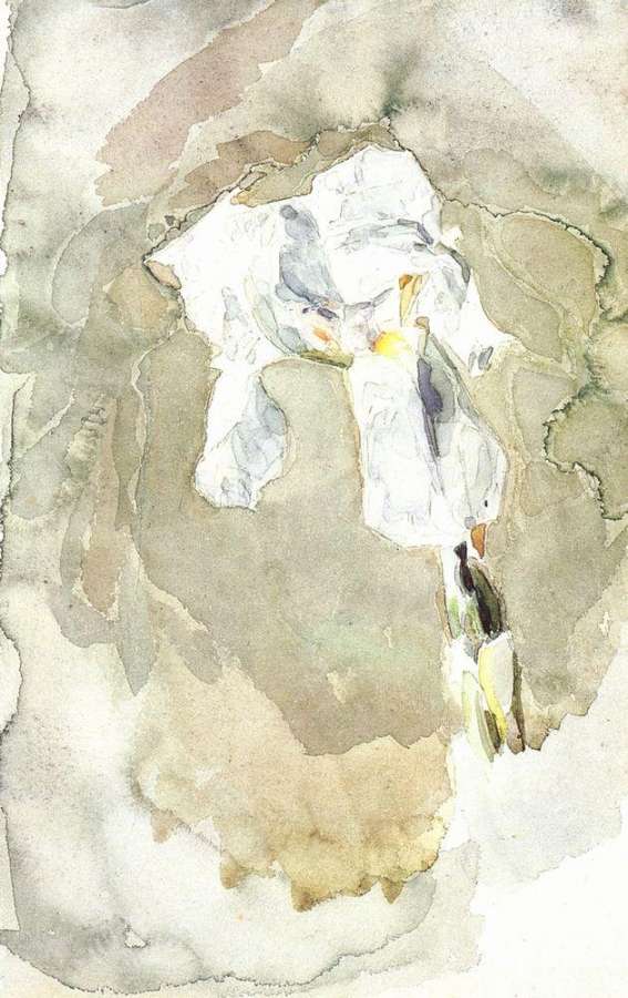 Белый ирис. 1886-1887 - Врубель Михаил 