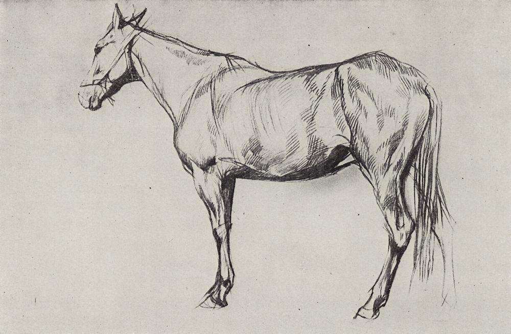 Лошадь. 1884 - Серов Валентин Александрович