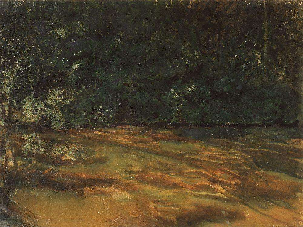 Заросший пруд. 1899 - Сомов Константин Андреевич