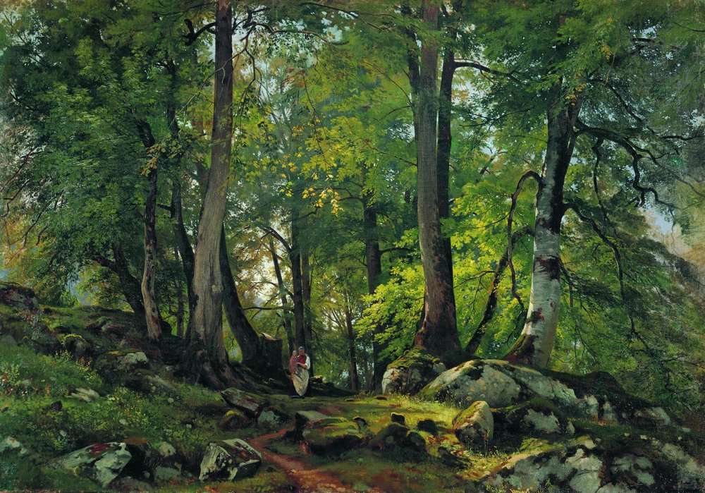 Буковый лес в Швейцарии 1863-1864 85.5х124 - Шишкин Иван Иванович