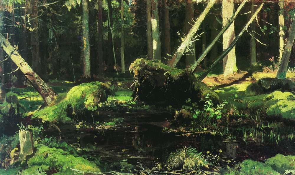 Бурелом 1886-1887 - Шишкин Иван Иванович