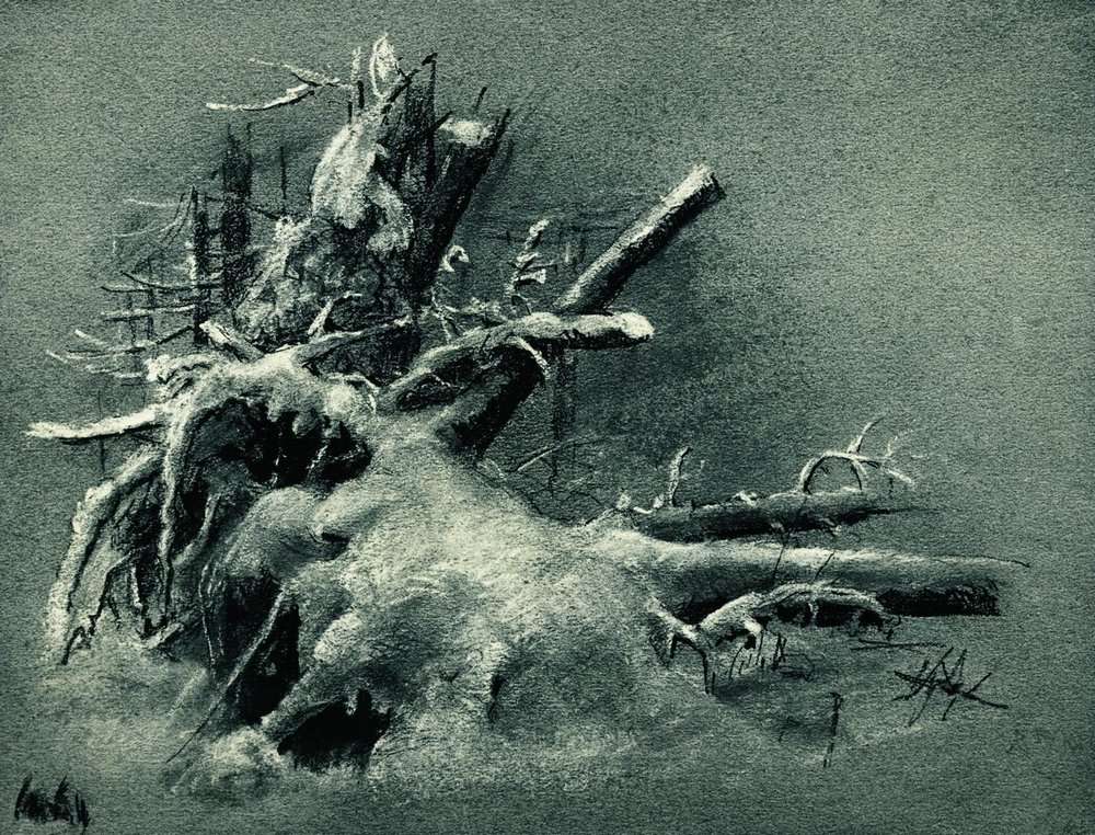 Выкорчеванные пни под снегом 1890-е Бумага.уголь,мел 23,8х31.1 - Шишкин Иван Иванович