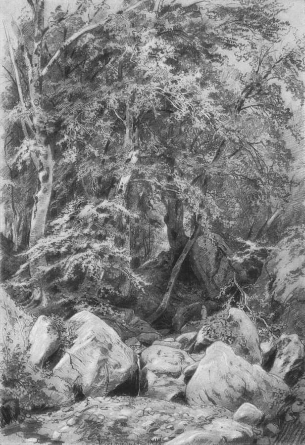 Деревья у ручья на горе Кастель. 1879 46х31 - Шишкин Иван Иванович