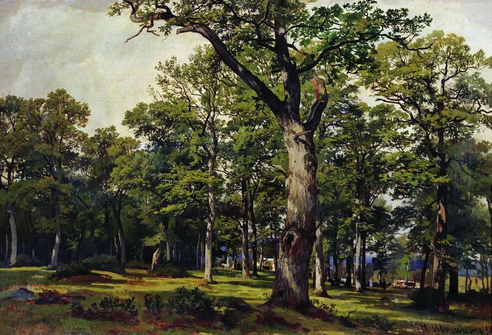Дубовый лес 1869 55.8х82 - Шишкин Иван Иванович
