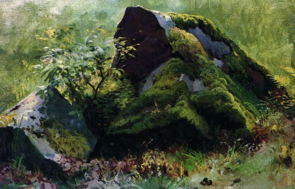 Камни. 1880-1890-е 19,2х28,8 - Шишкин Иван Иванович