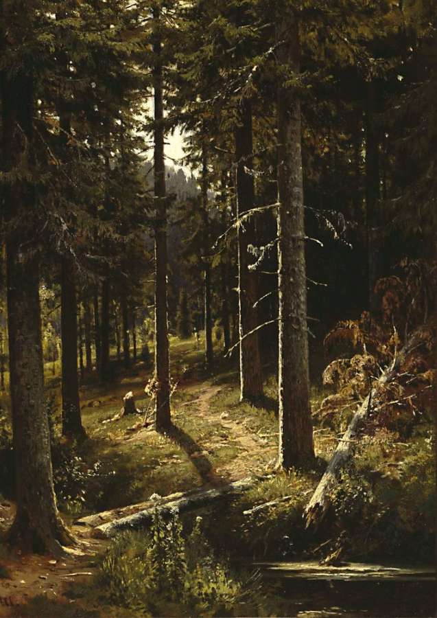 Лесной пейзаж1889-1890 51.2х36,9 - Шишкин Иван Иванович