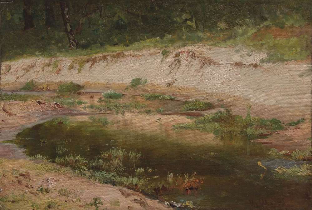Лесной ручей 1895.Этюд - Шишкин Иван Иванович