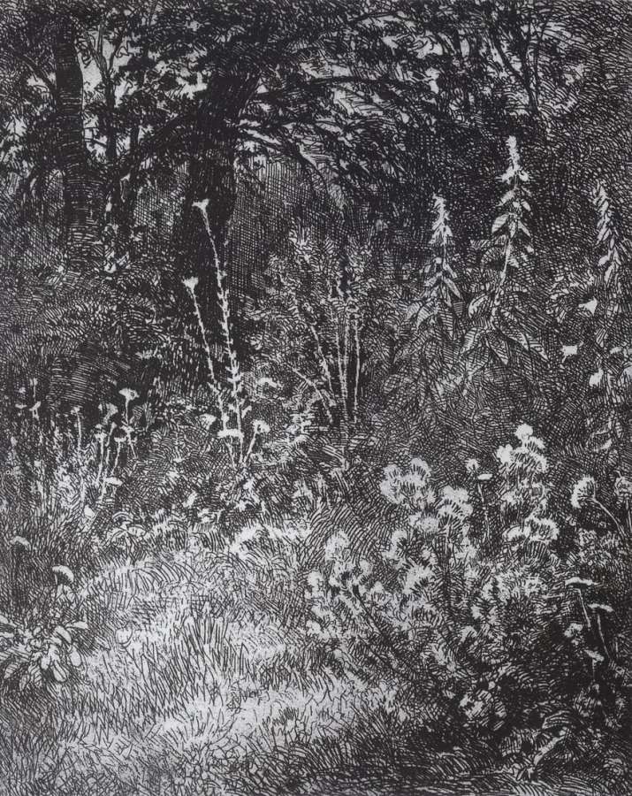 Лесные цветы. 1873 10,7х9 - Шишкин Иван Иванович
