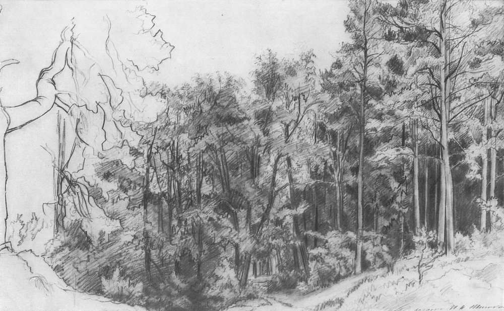 Лиственный лес 1873 30,6х45,9 - Шишкин Иван Иванович