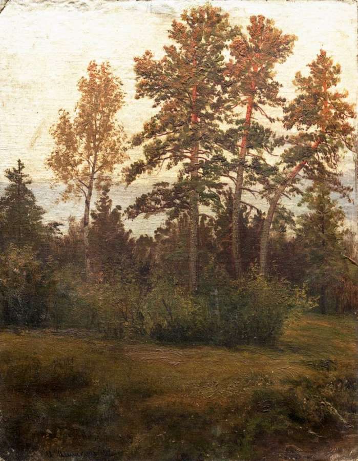 Опушка леса 1892 - Шишкин Иван Иванович
