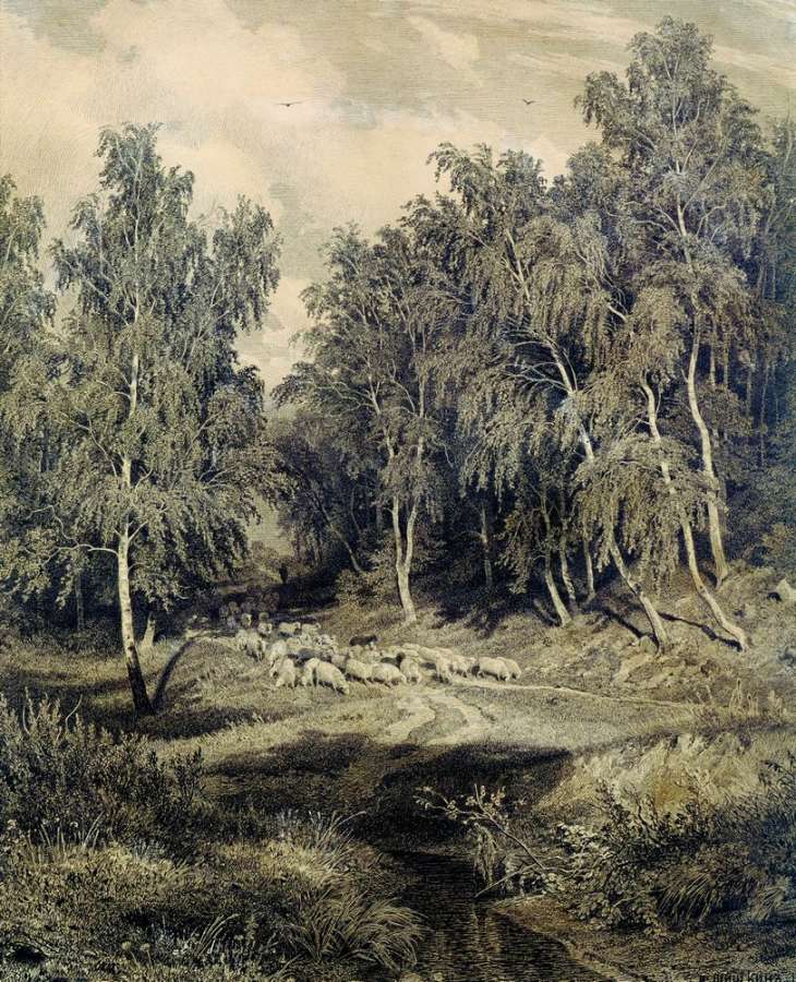 Пейзаж с гуртом овец 1870-Е.Офорт - Шишкин Иван Иванович
