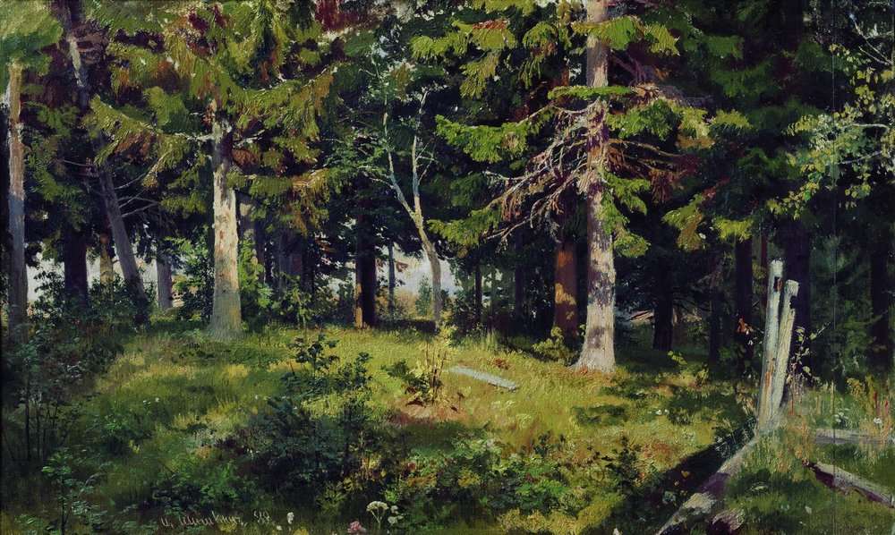 Поляна в лесу 1889 38х62 - Шишкин Иван Иванович