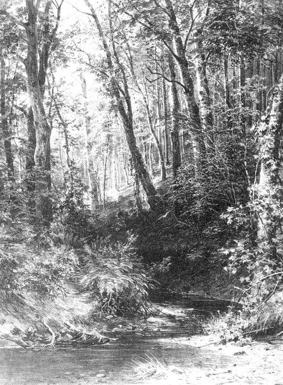 Ручей в лесу 1880-е 67х52,2 - Шишкин Иван Иванович