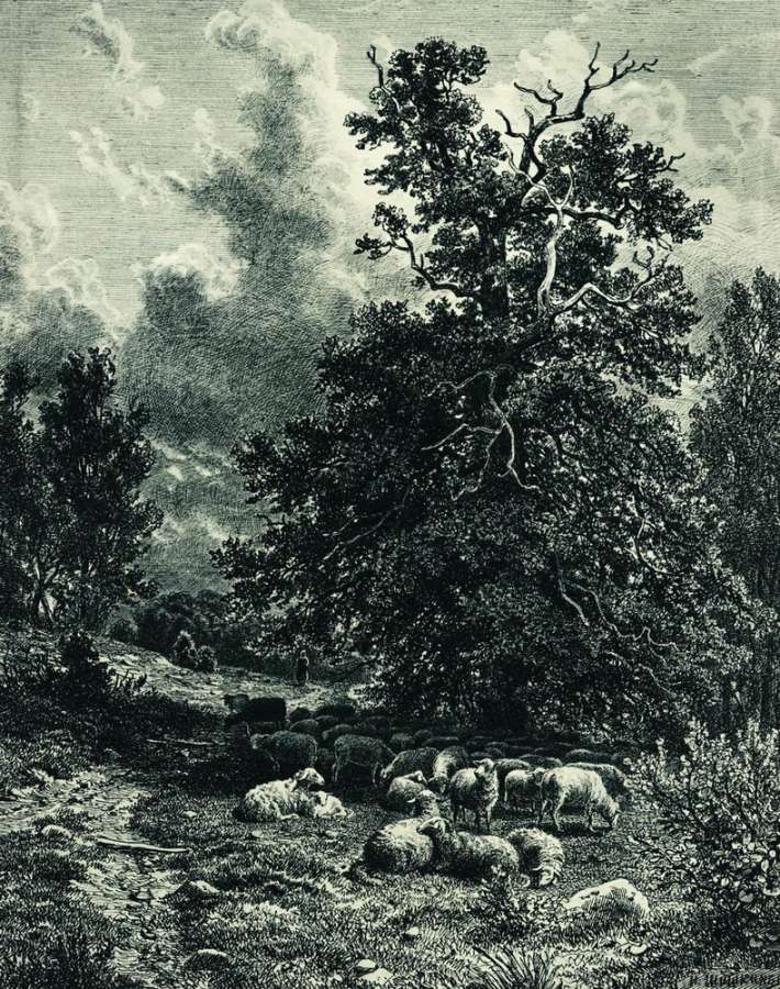Стадо овец на опушке леса 1860-е 38,3х29,5 - Шишкин Иван Иванович