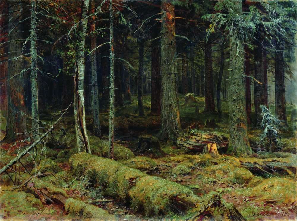 Тёмный лес 1890 92х124.5 - Шишкин Иван Иванович