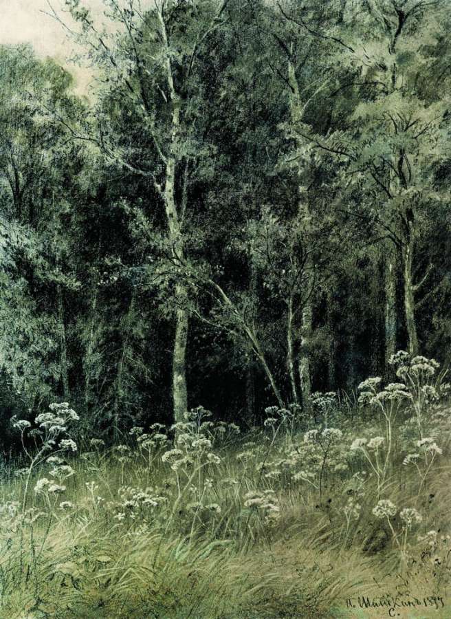 Цветы в лесу 1877 28,4х21,3 - Шишкин Иван Иванович