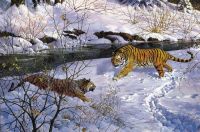 мартовские тигры - Бахтин