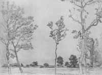 Деревья в Баран-Эли. 1906 - Богаевский