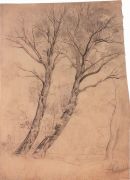 Деревья. 1850-е - Саврасов