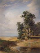 Летний пейзаж с дубами. Середина 1850-х - Саврасов