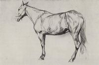 Лошадь. 1884 - Серов