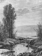 Берег озера 1884. Бумага,уголь,мел 60х44 - Шишкин