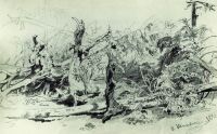 Бурелом 1890 Бумага.карандаш - Шишкин