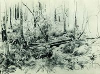 В лесных зарослях 1870-е 24.2х32.5 - Шишкин