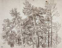 Верхушки сосен. 1890-е 32,5х41,8 - Шишкин