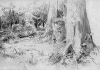 Вырубленный лес 1880-е 22.3х32 - Шишкин
