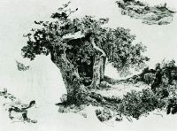 Группа лиственных деревьев и камни. Набросок 24,3х32,7 - Шишкин