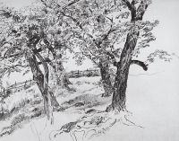 Деревья 1870-е 21,9х28,9 - Шишкин