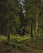 Лесной пейзаж 1878 45х35,5 - Шишкин