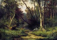 Лесной пейзаж с цаплями 1870 79х112 - Шишкин