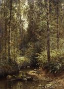 Лесной ручей. 1882 93,7х68,6 - Шишкин