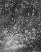 Лесные цветы. 1873 10,7х9 - Шишкин