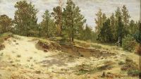 Молодые сосенки у песчаного обрыва 1890 33х59 - Шишкин