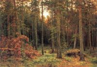 Сосновый лес1885 - Шишкин