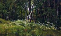 Цветы на опушке леса 1893 42х67 - Шишкин