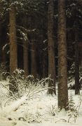 Еловый лес зимой 1884 140х95 - Шишкин