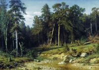 Сосновый бор.Мачтовый лес в Вятской губернии 1872 117х165 - Шишкин