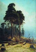 Сосновый лес 1883- 1894 235.5х161.3 - Шишкин