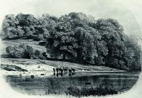Стадо на берегу реки 1870-е 27х38,6 - Шишкин