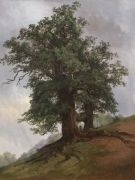 Старый дуб 1866 - Шишкин