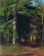 Этюд к картине Рубка леса. 1867 42х34 - Шишкин